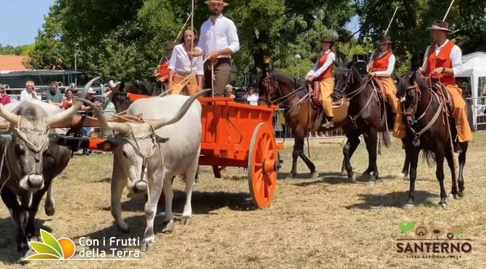A Imola tutto pronto per la Fiera Agricola del Santerno
