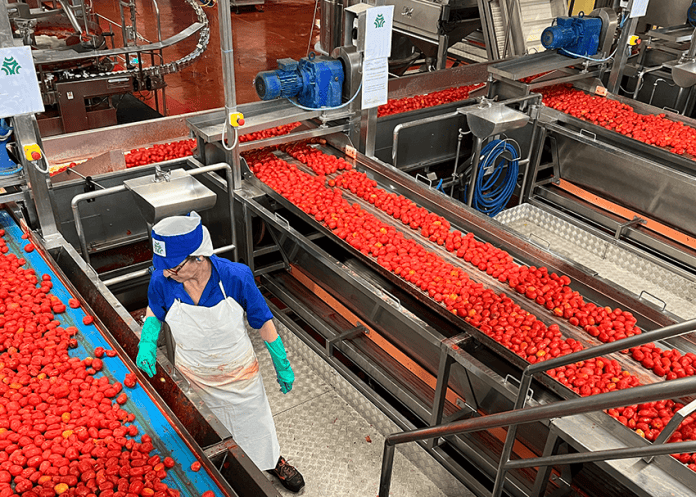 foto stagionale Conserve Italia
