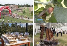 Puntata 442 del 20-09-2026